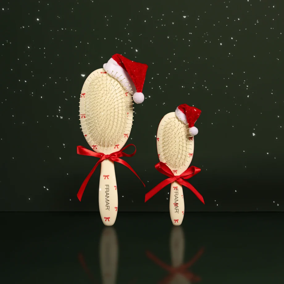 Framar Duo Brush Holiday Pack